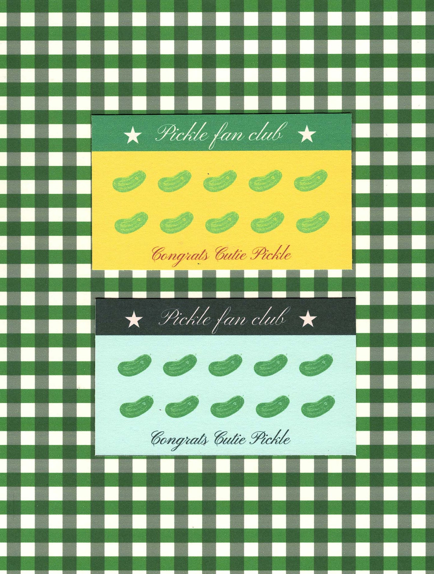 Journaling Kit- The Pickle Edition